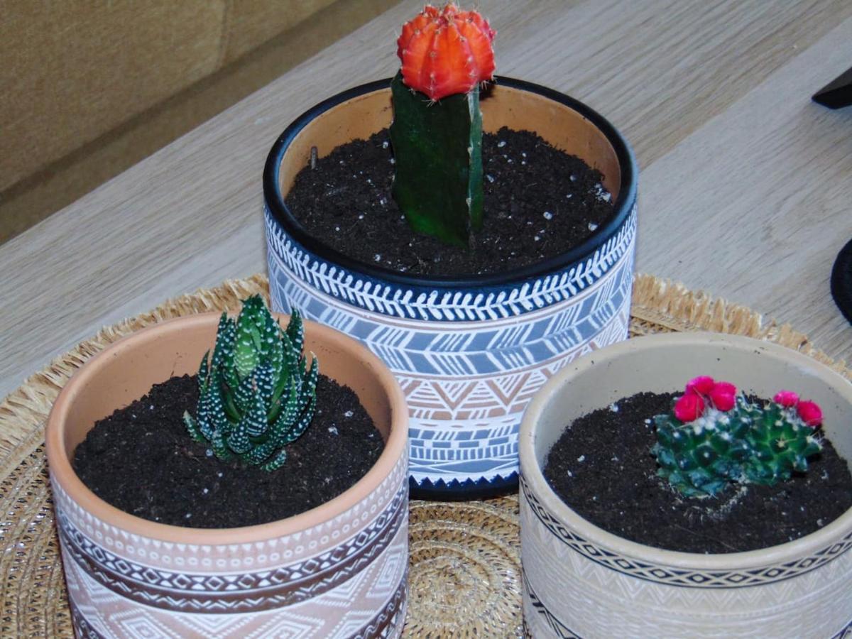 Апартаменты The Orange Cactus Спарта Экстерьер фото